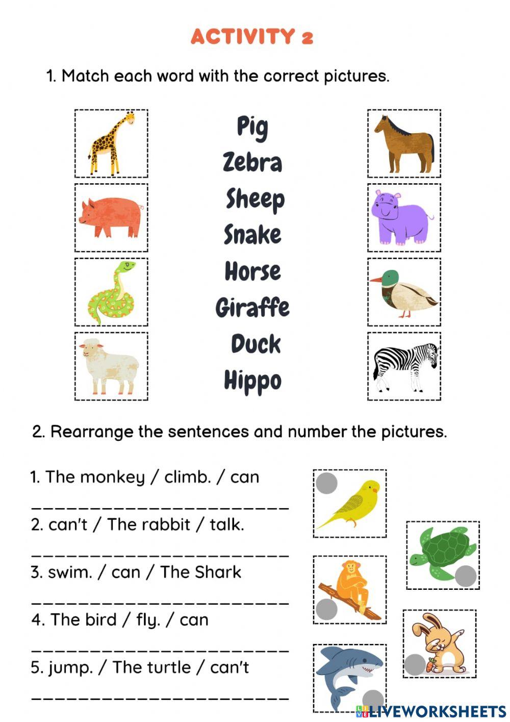 Activity 2 ANIMALS