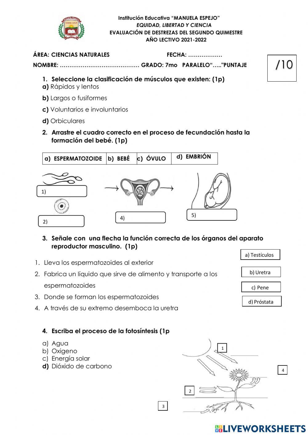 Examen