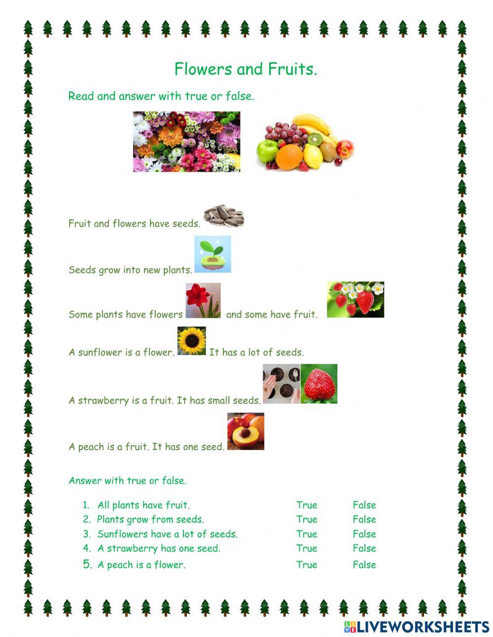 Plants and fruits Plants and fruits