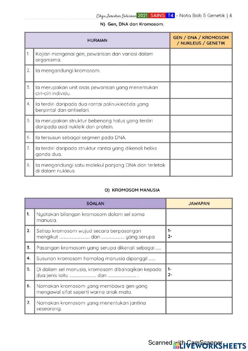 T4 b5 5.1 pembahagian sel
