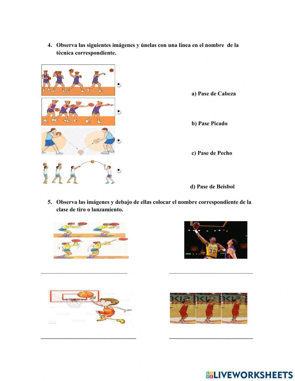 Ficha Interactiva de Baloncesto