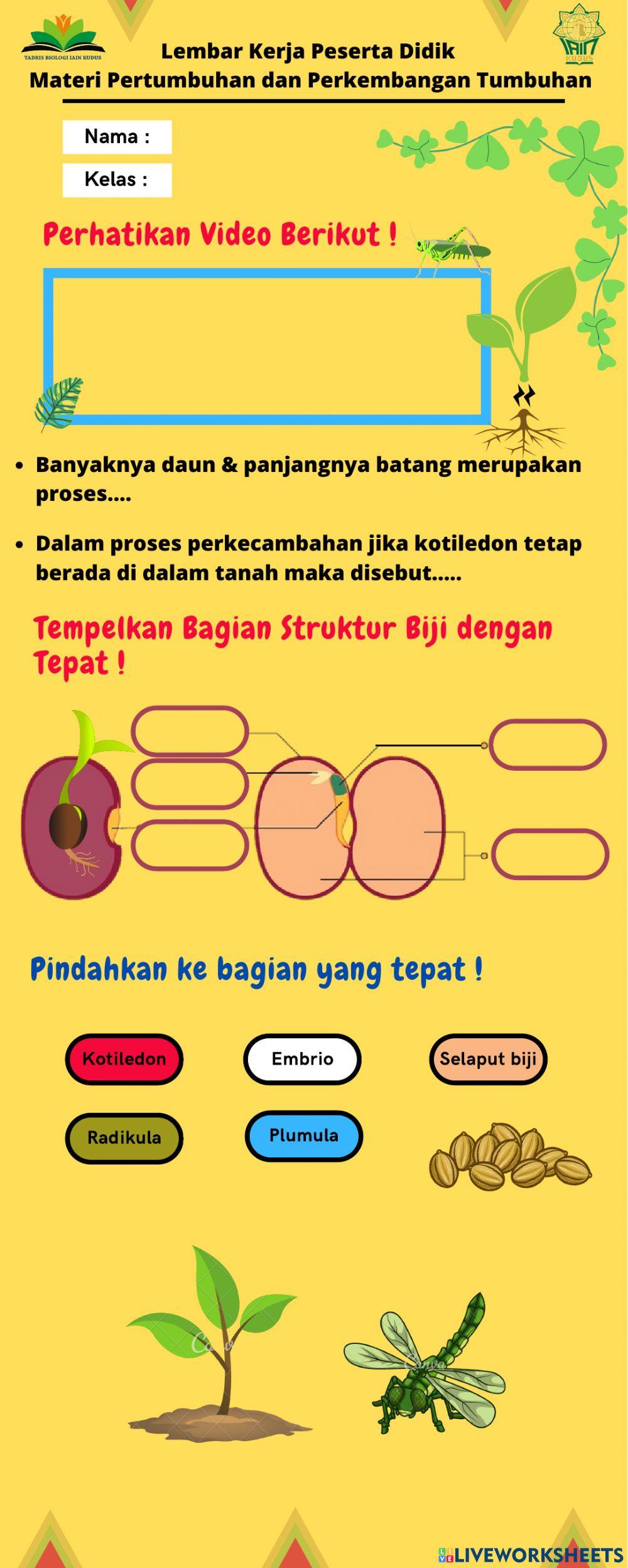 E-LKPD Pertumbuhan dan Perkembangan Tumbuhan