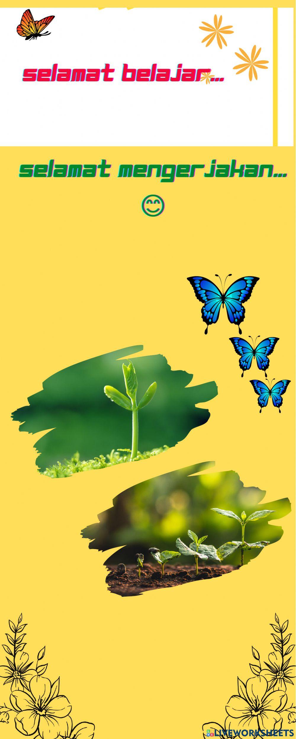 E-LKPD Pertumbuhan dan Perkembangan Tumbuhan