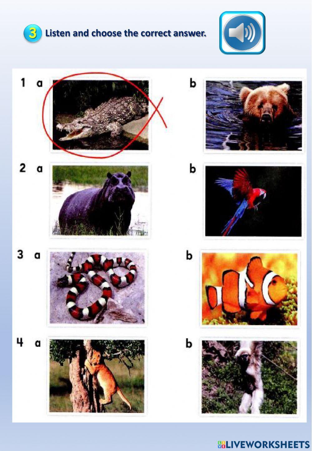 Kids 07 - final exam