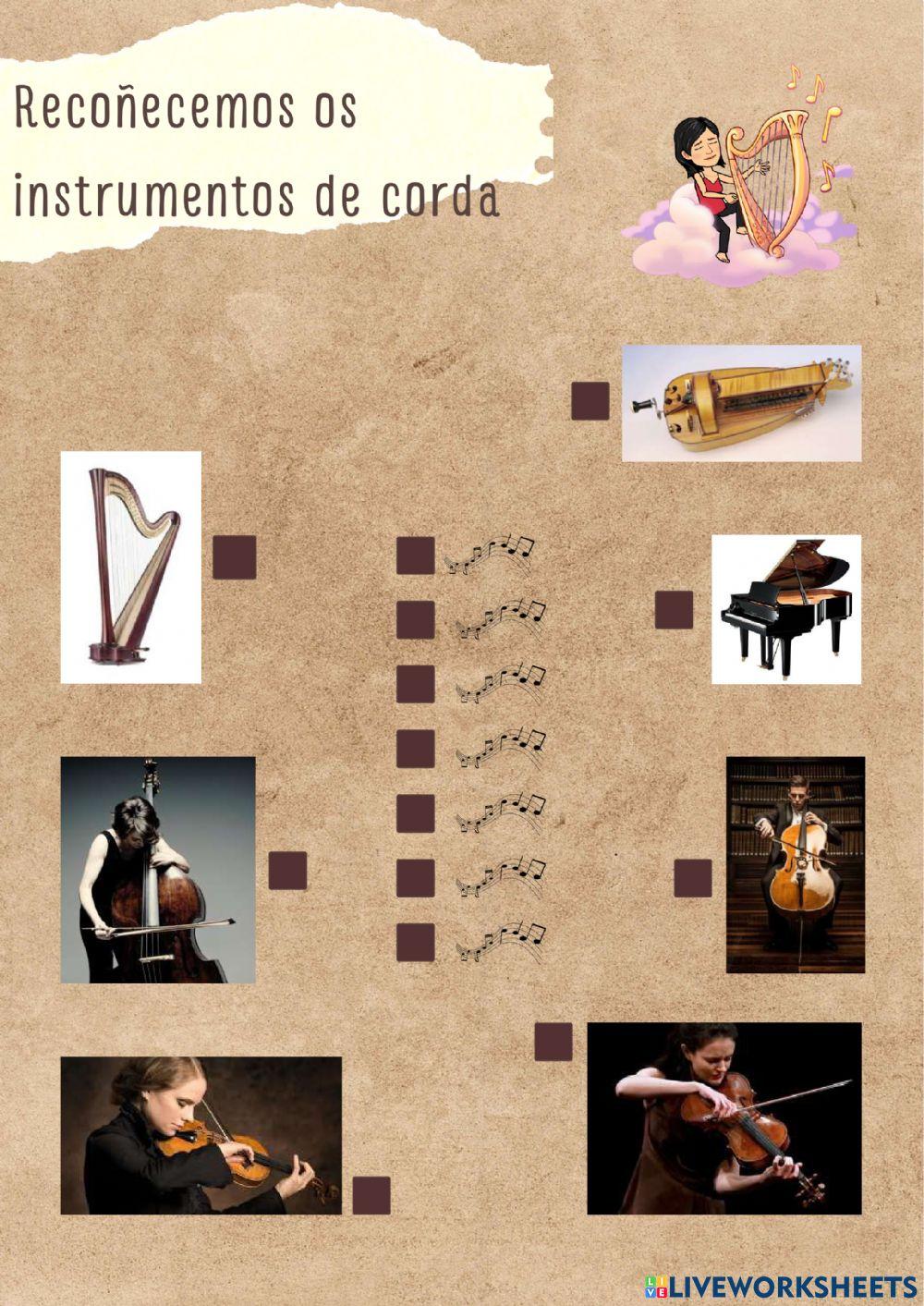 Recoñecemos os instrumentos de corda