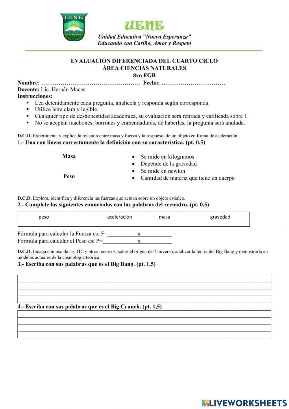 8vo Evaluación Diferenciada