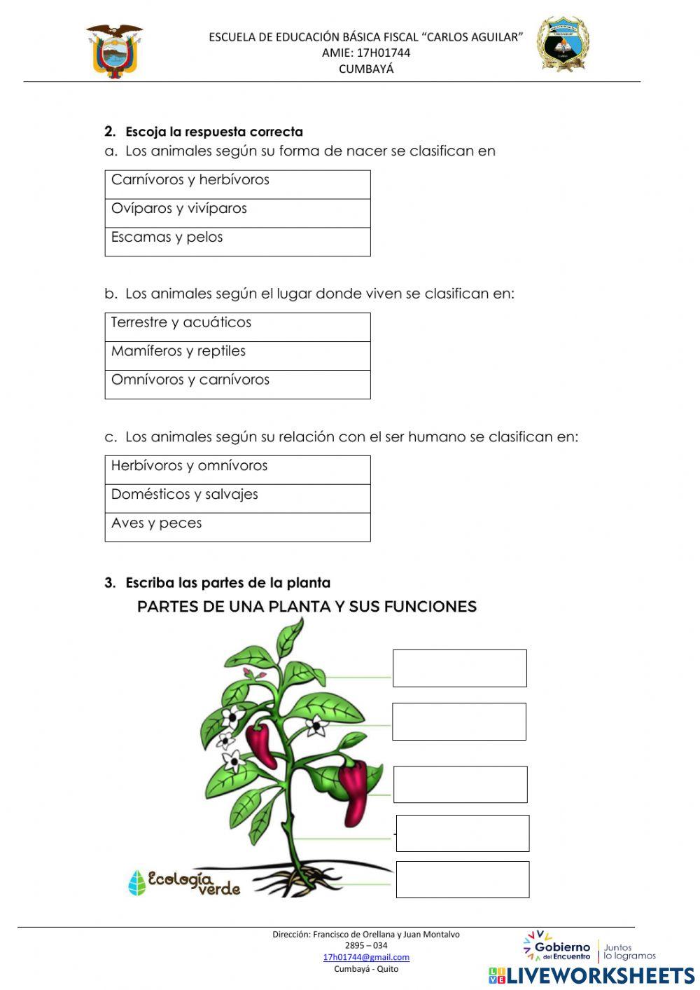 Evaluación segundo quimestre ciencia naturales