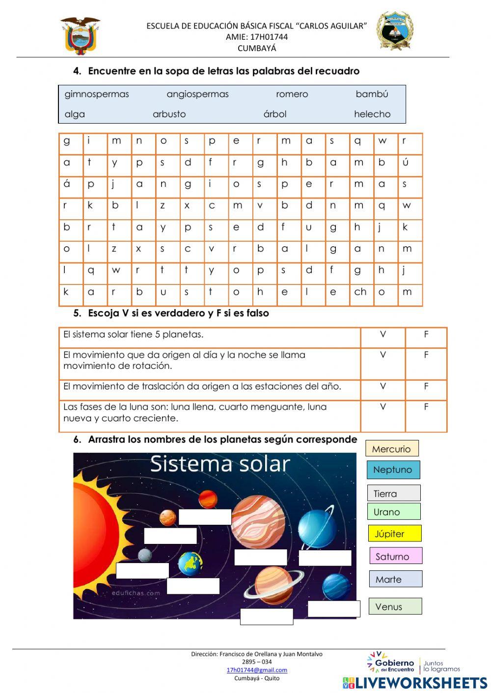 Evaluación segundo quimestre ciencia naturales