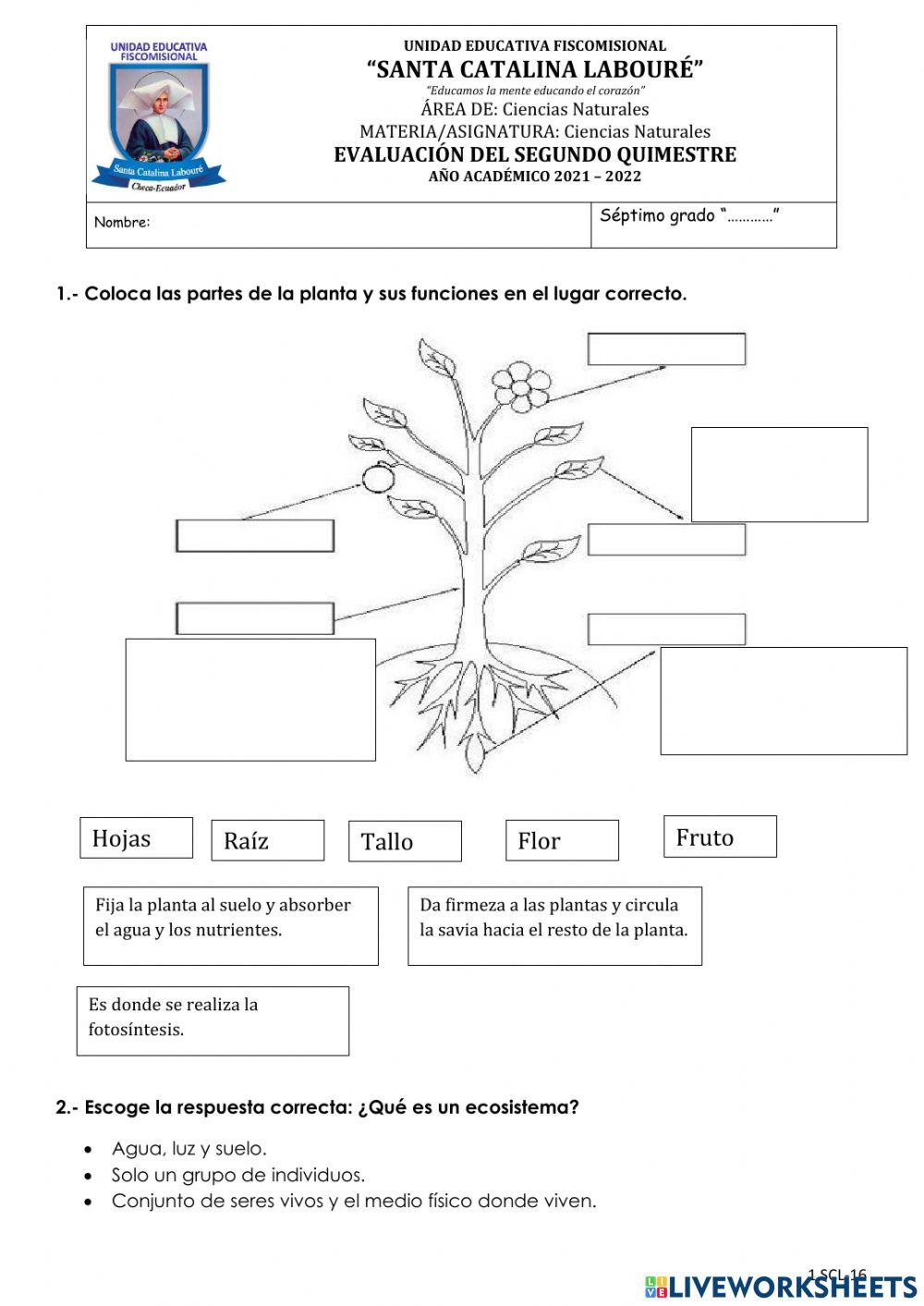 Evaluación de Ciencias Naturales