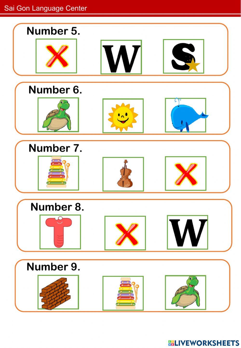 PPD A4 - (Letter X, W)