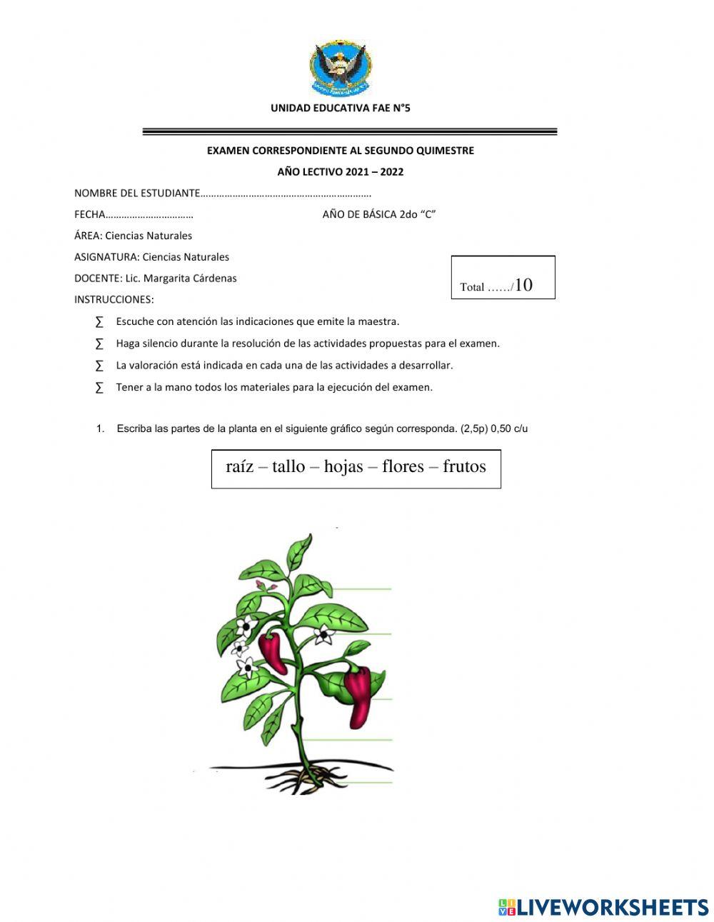Examen Quimestral Ciencias Naturales