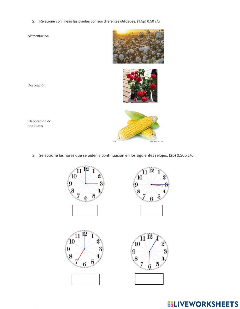 Examen Quimestral Ciencias Naturales