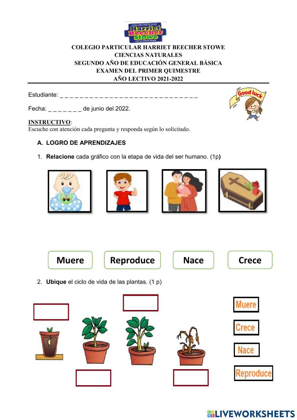 Evaluación II Quimestre Ciencias Naturales 2do