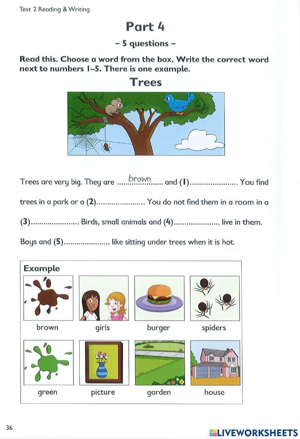 Pre starters Reading