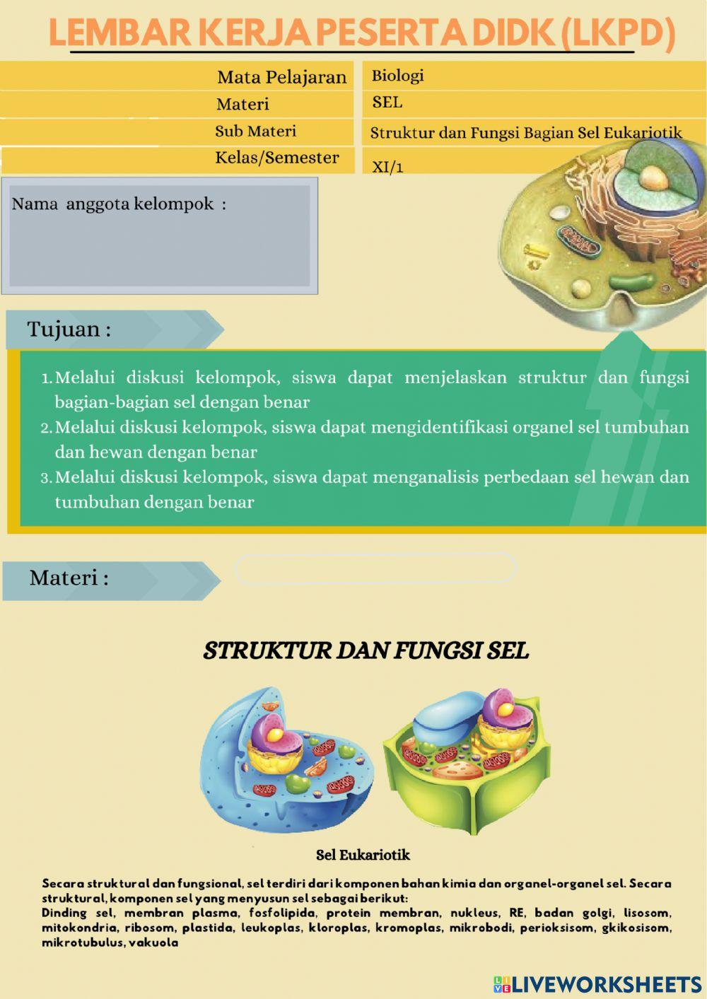 Struktur dan Fungsi Sel Sukariotik