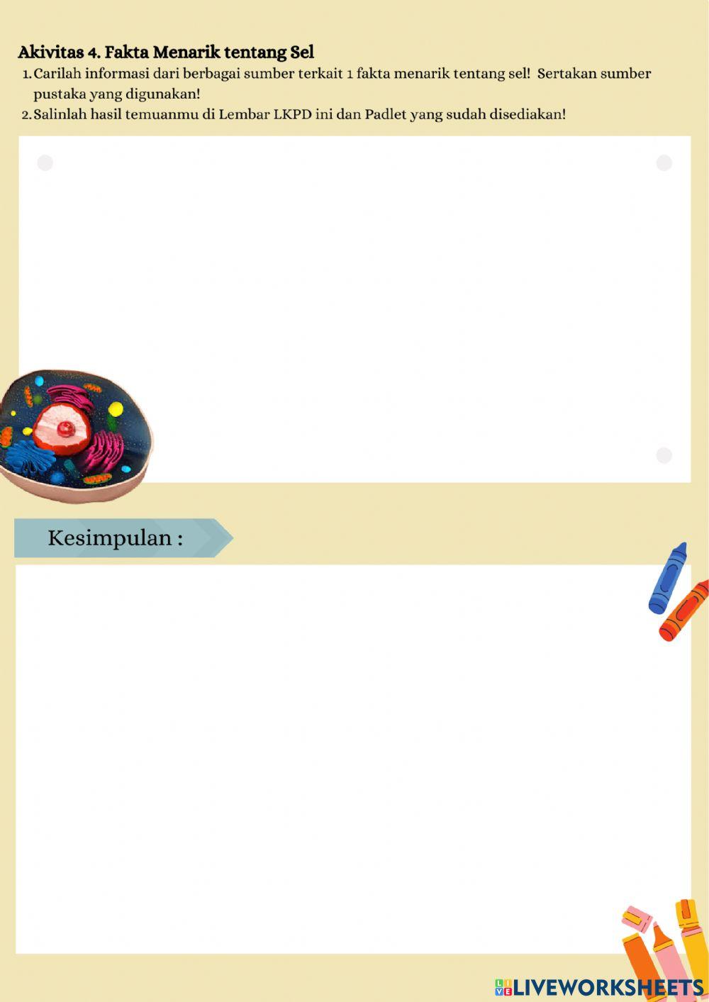 Struktur dan Fungsi Sel Sukariotik