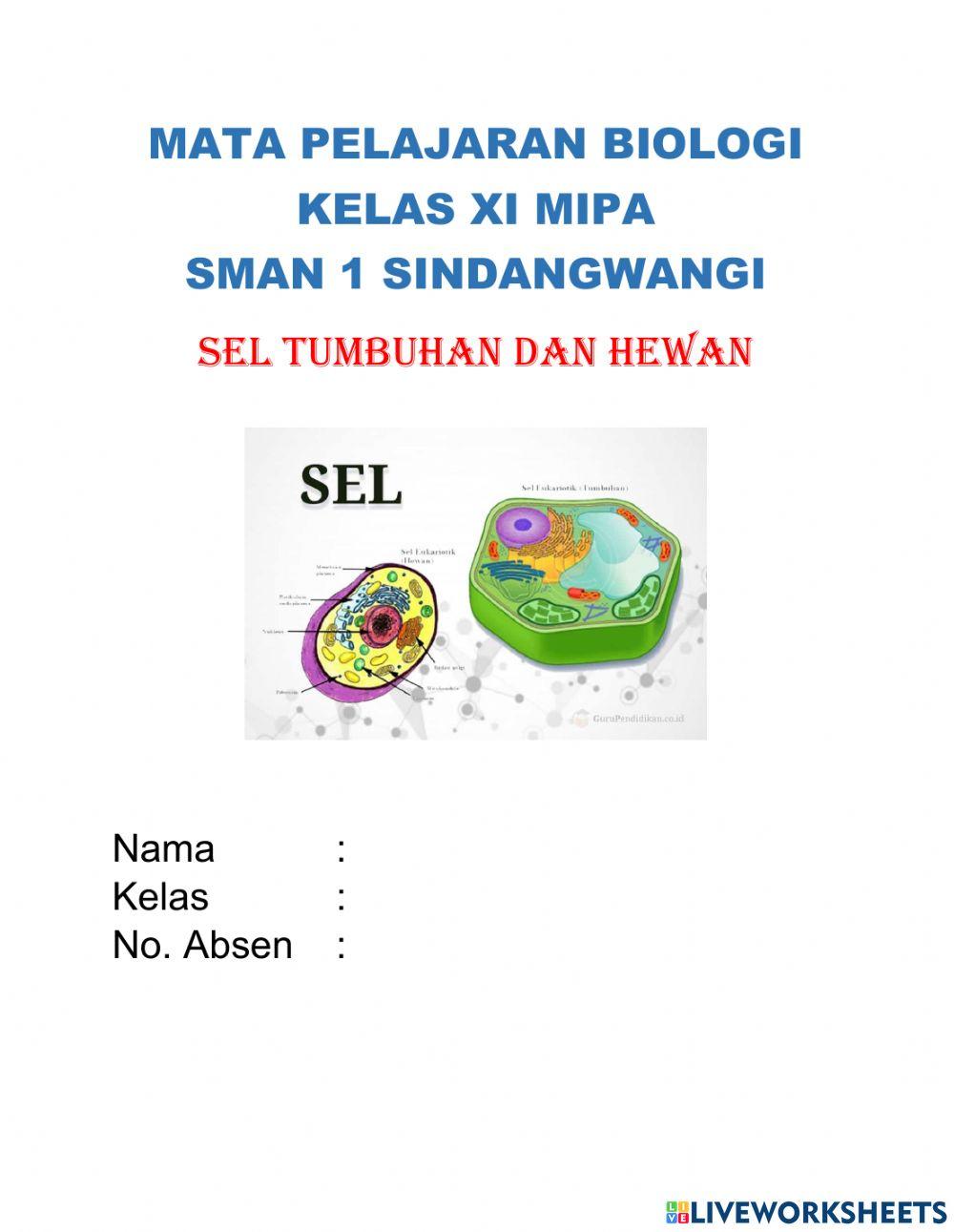 Lks sel tumbuhan dan hewan