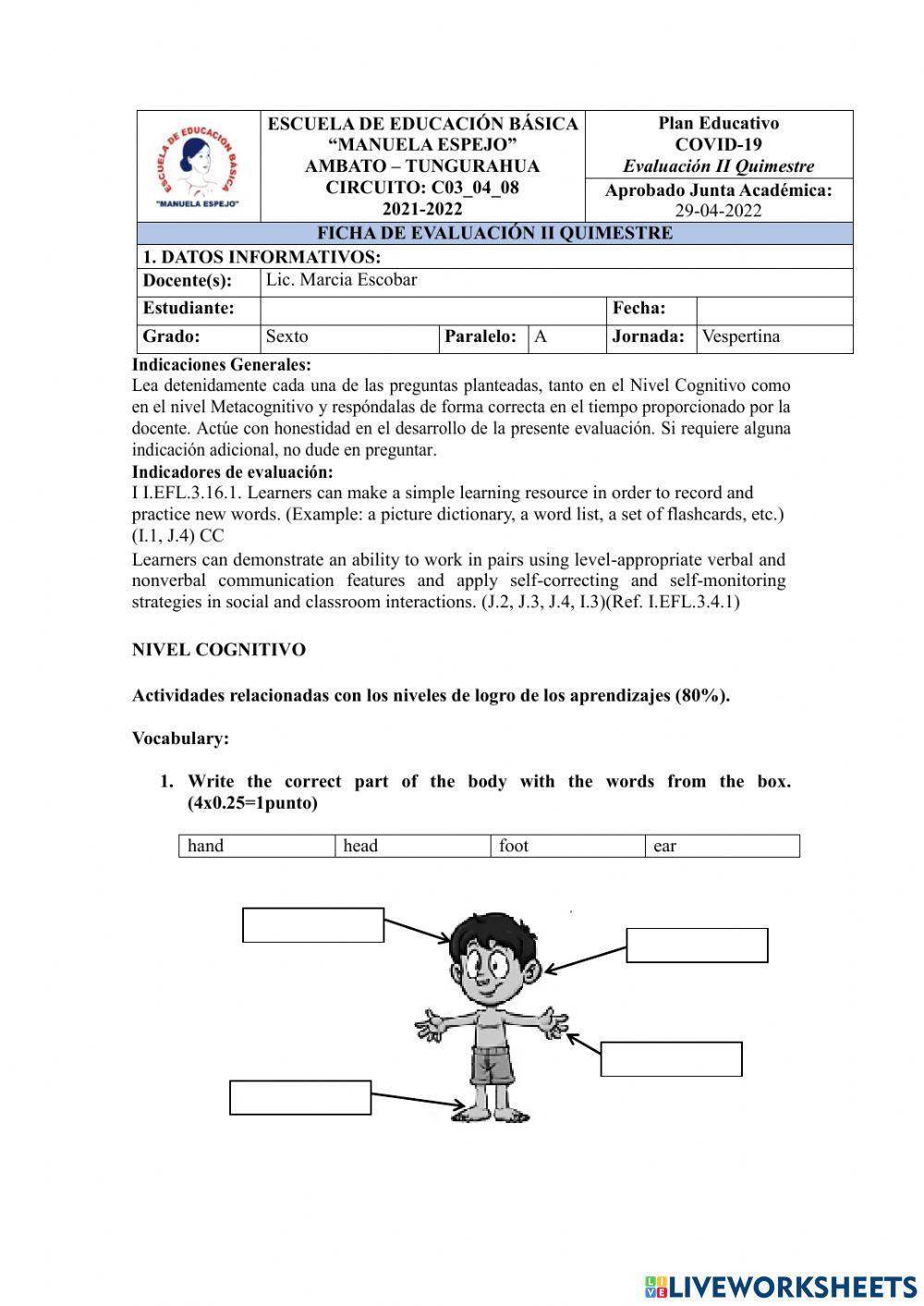 English quimestral exam sixth egb