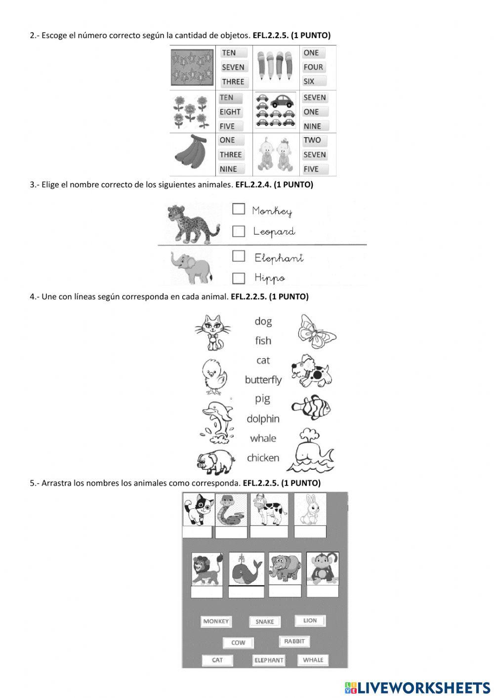 Evaluación Primero Inglés