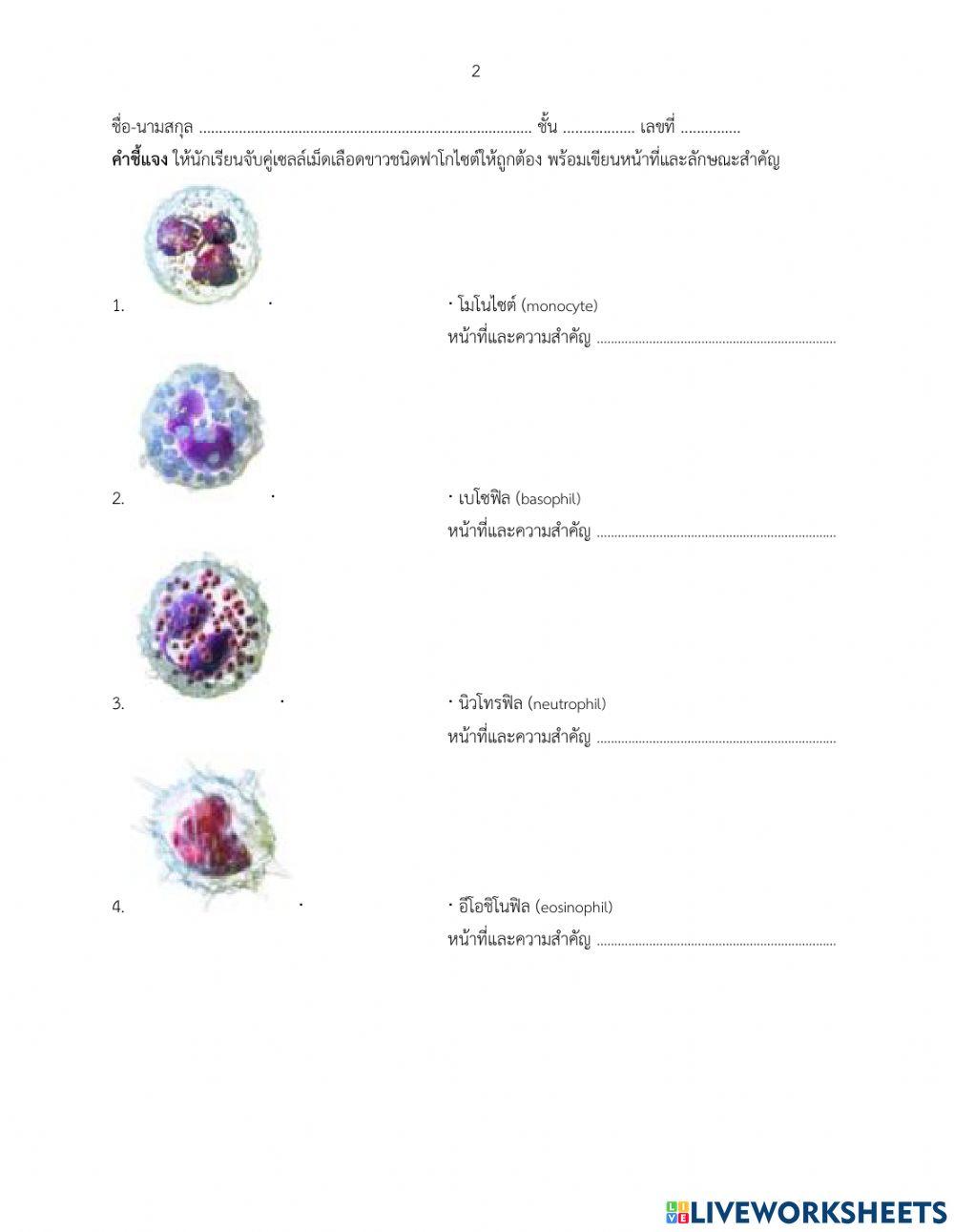 ใบงานที่ 2.2  เรื่อง กลไกการต่อต้านหรือทำลายสิ่งแปลกปลอมแบบไม่จำเพาะ