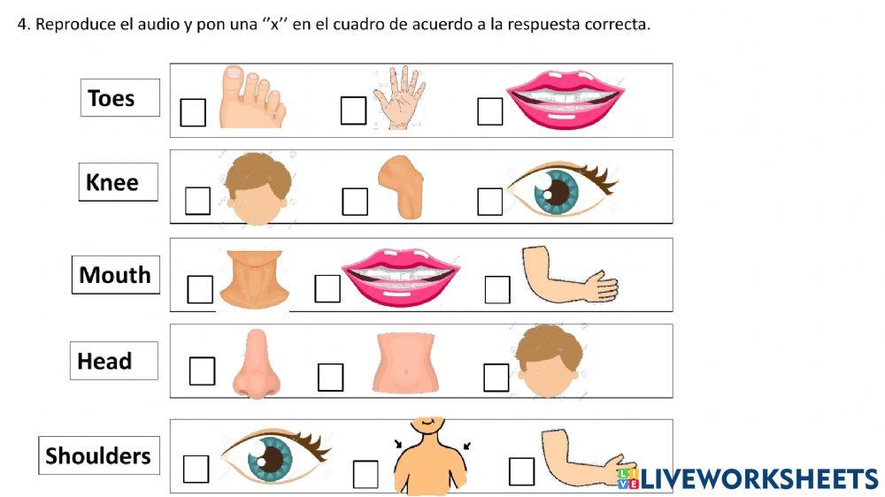 DIAGNOSTIC TEST- ENGLISH