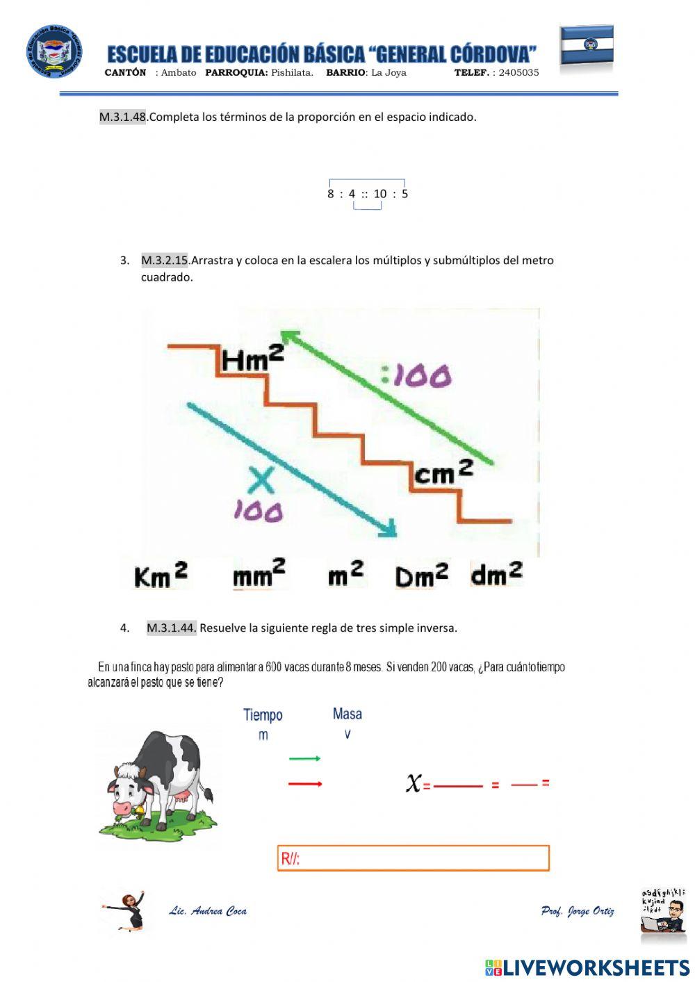 Evaluación quimestral Matemática séptimo año