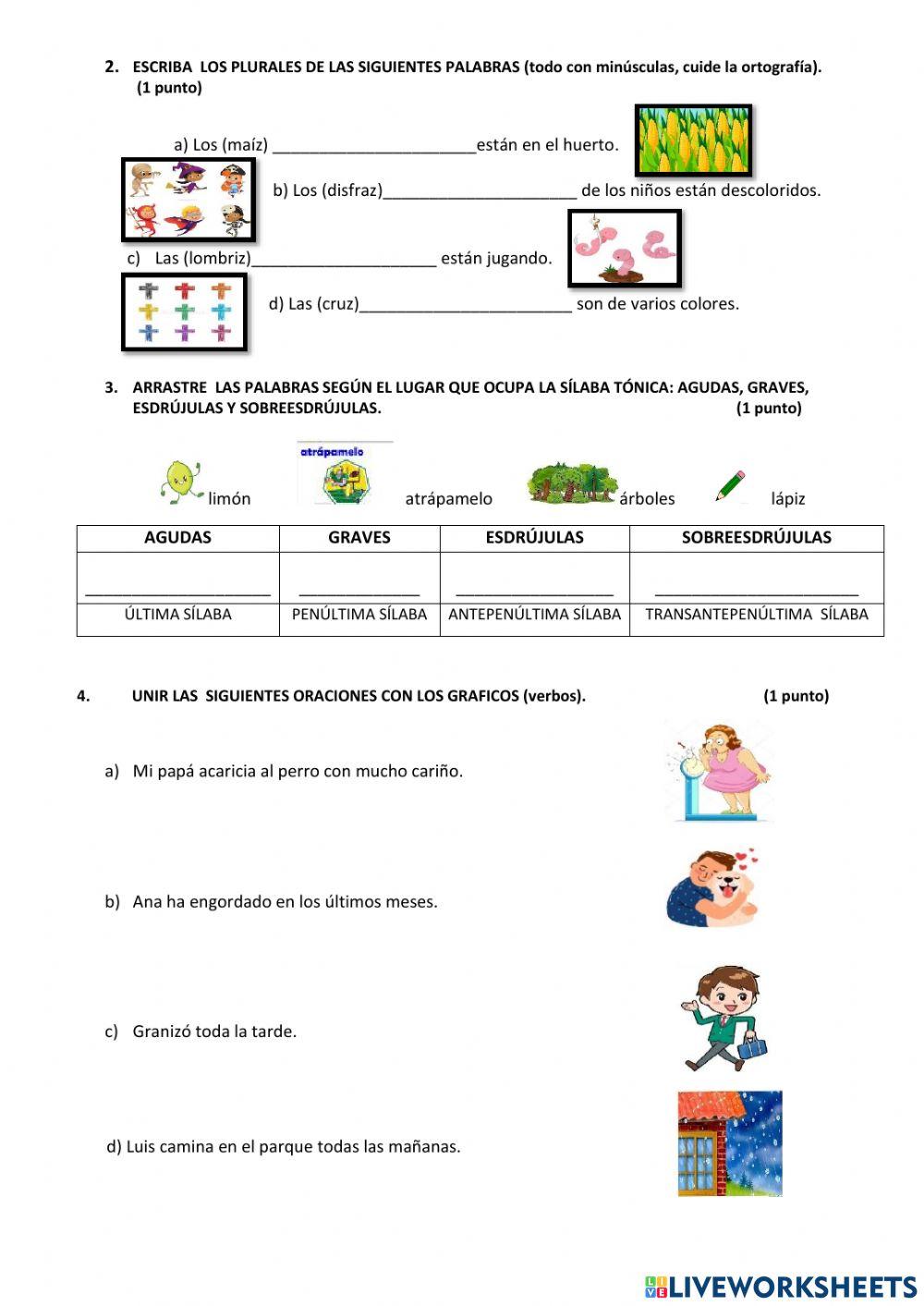 EVALUACIÓN DE LENGUA Y LITERATURA