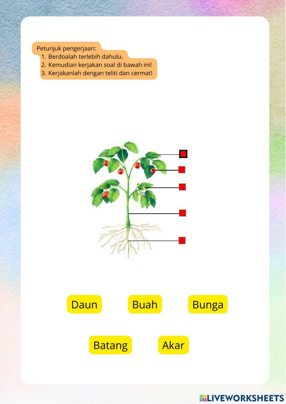 Lembar Kerja Peserta Didik Kelas IV Tema 3 Subtema 2