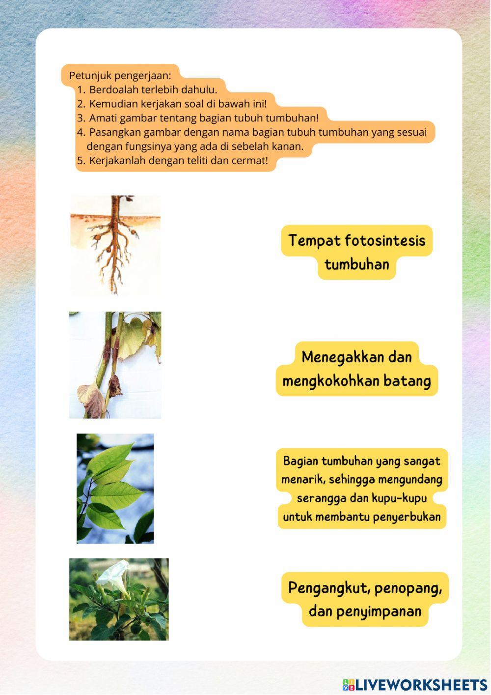 Lembar Kerja Peserta Didik Kelas IV Tema 3 Subtema 2