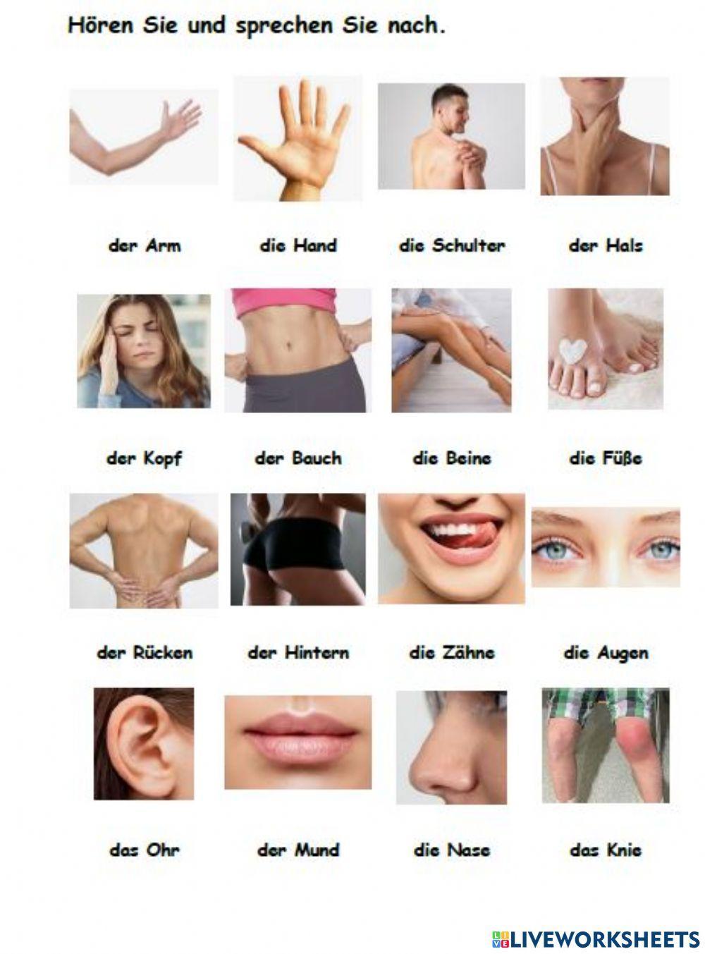 Lektion 10 Aussprache