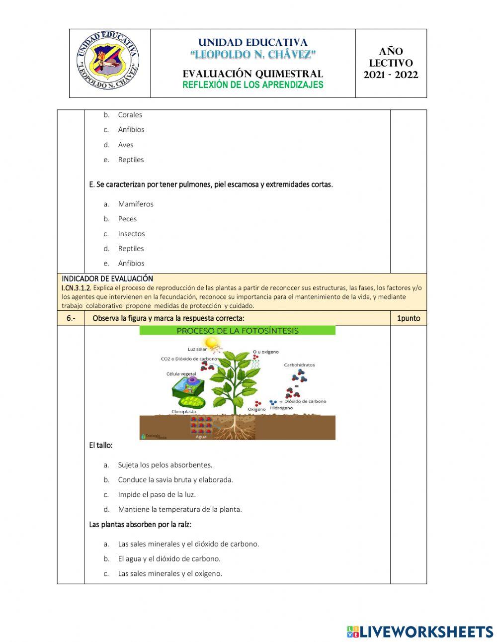 Ciencias  naturales