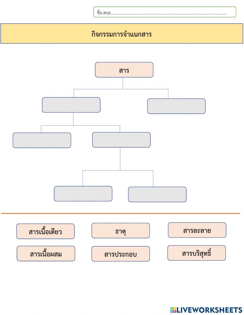 กิจกรรมจำแนกสาร