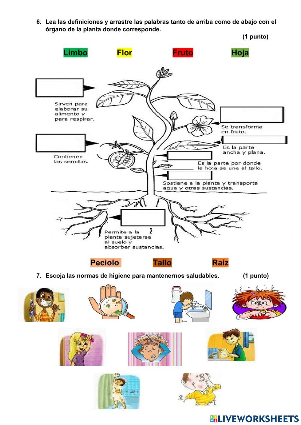Evaluación de Ciencias Naturales