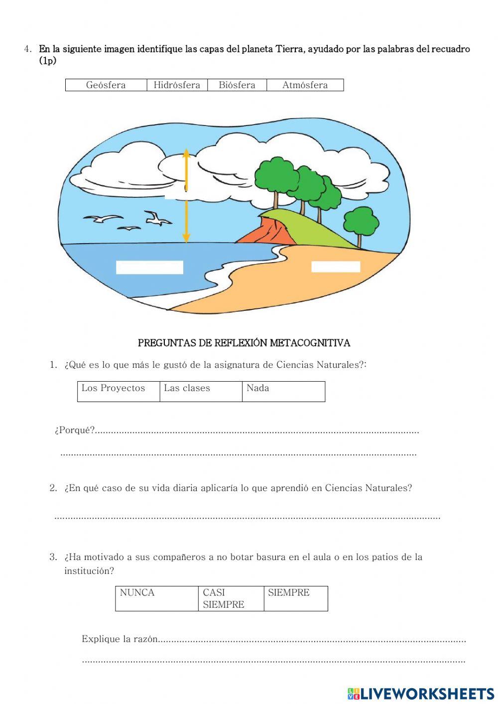 Examen de naturales alfredo cisneros