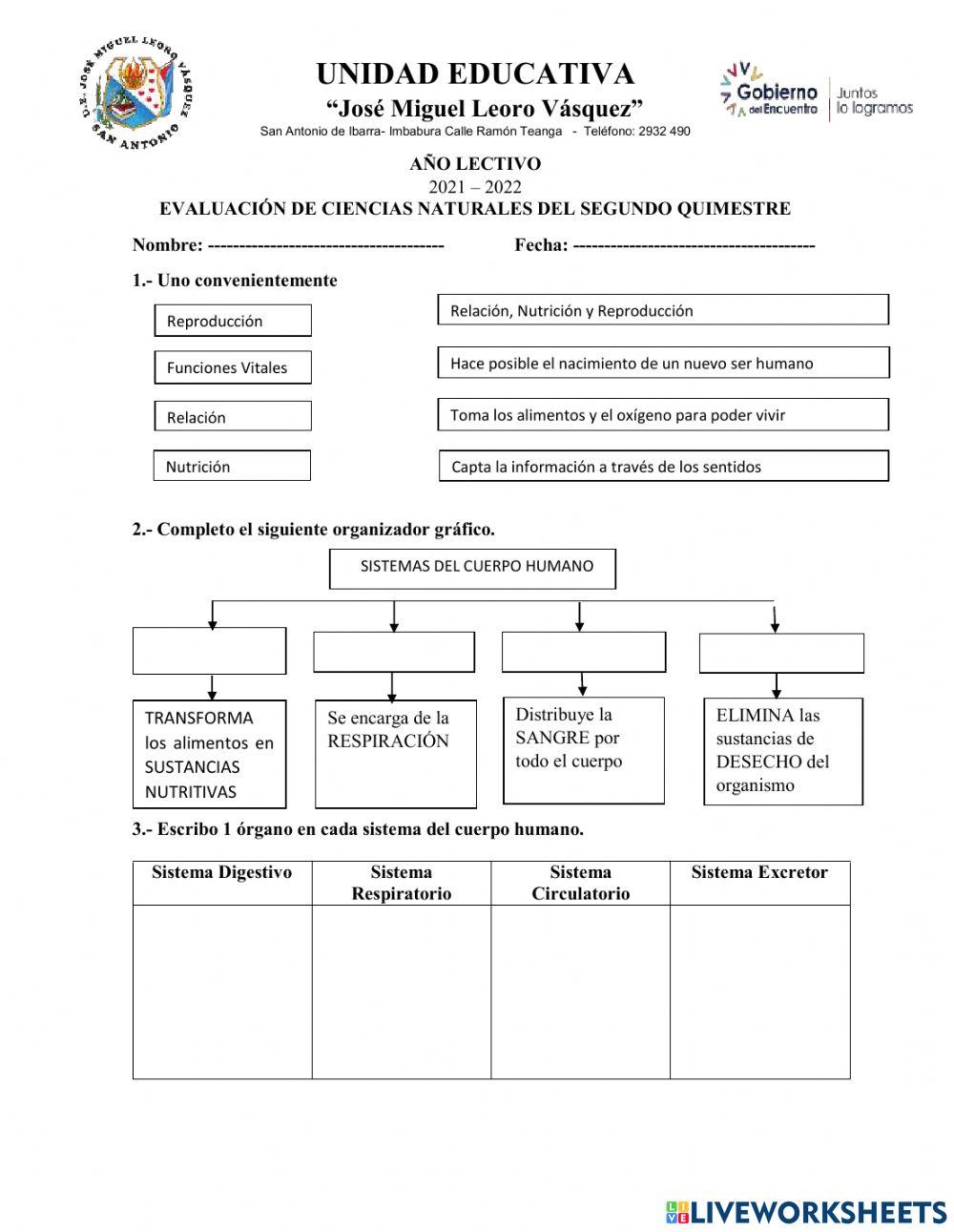 Evaluación de CC.NN