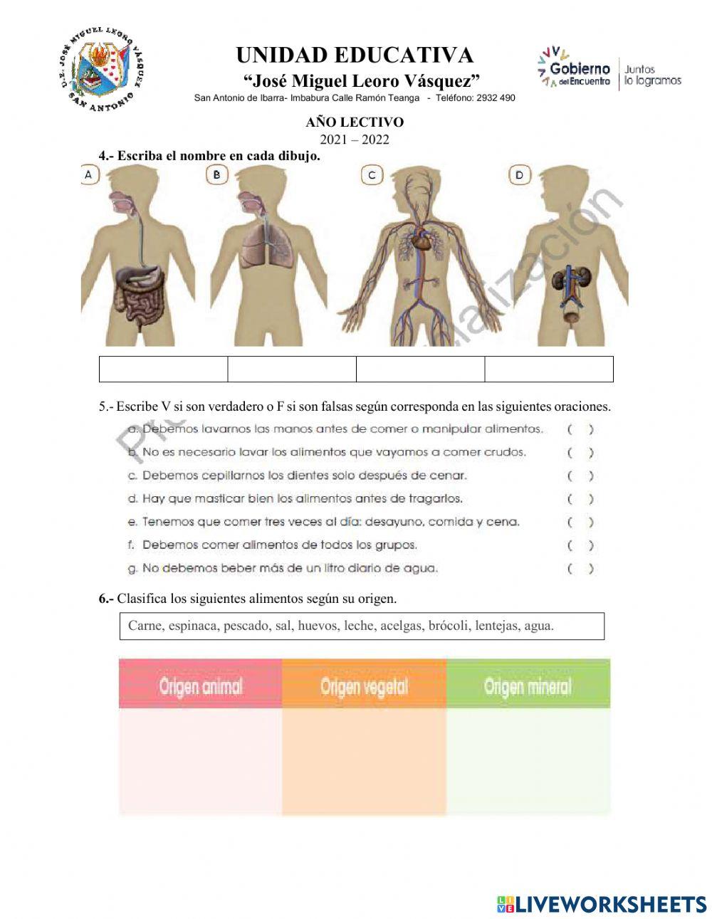 Evaluación de CC.NN