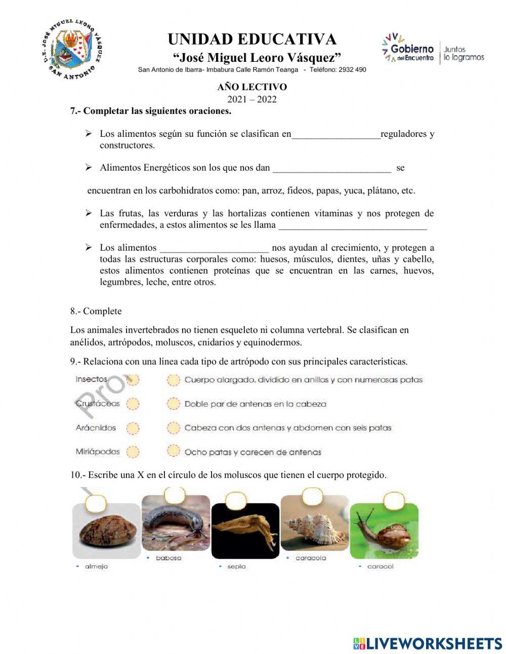 Evaluación de CC.NN