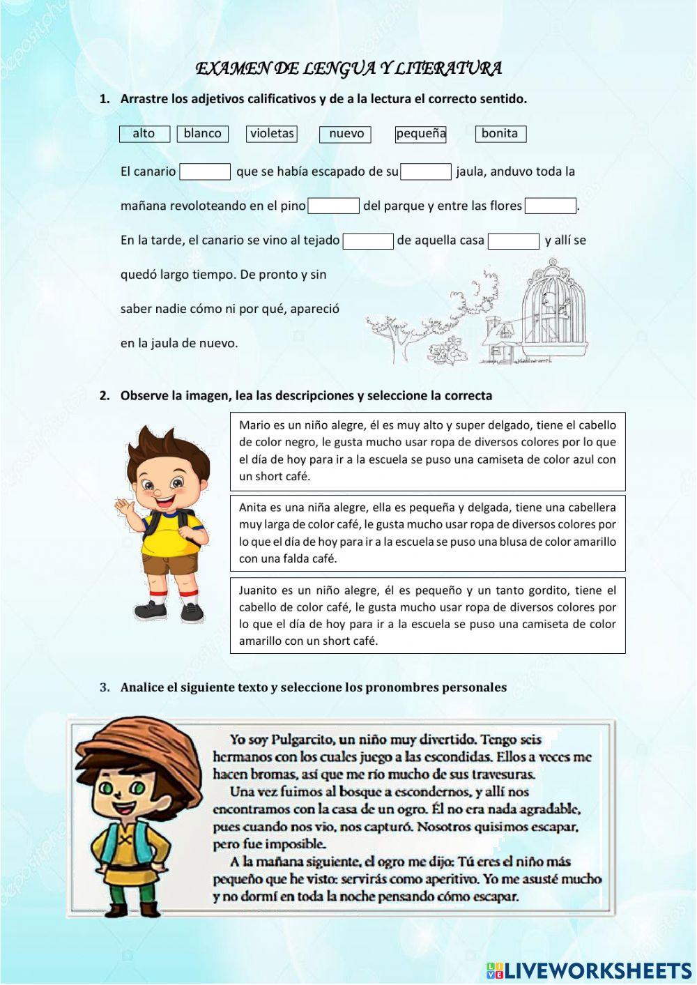 Evaluación de lengua y literatura Evaluación de lengua y literatura