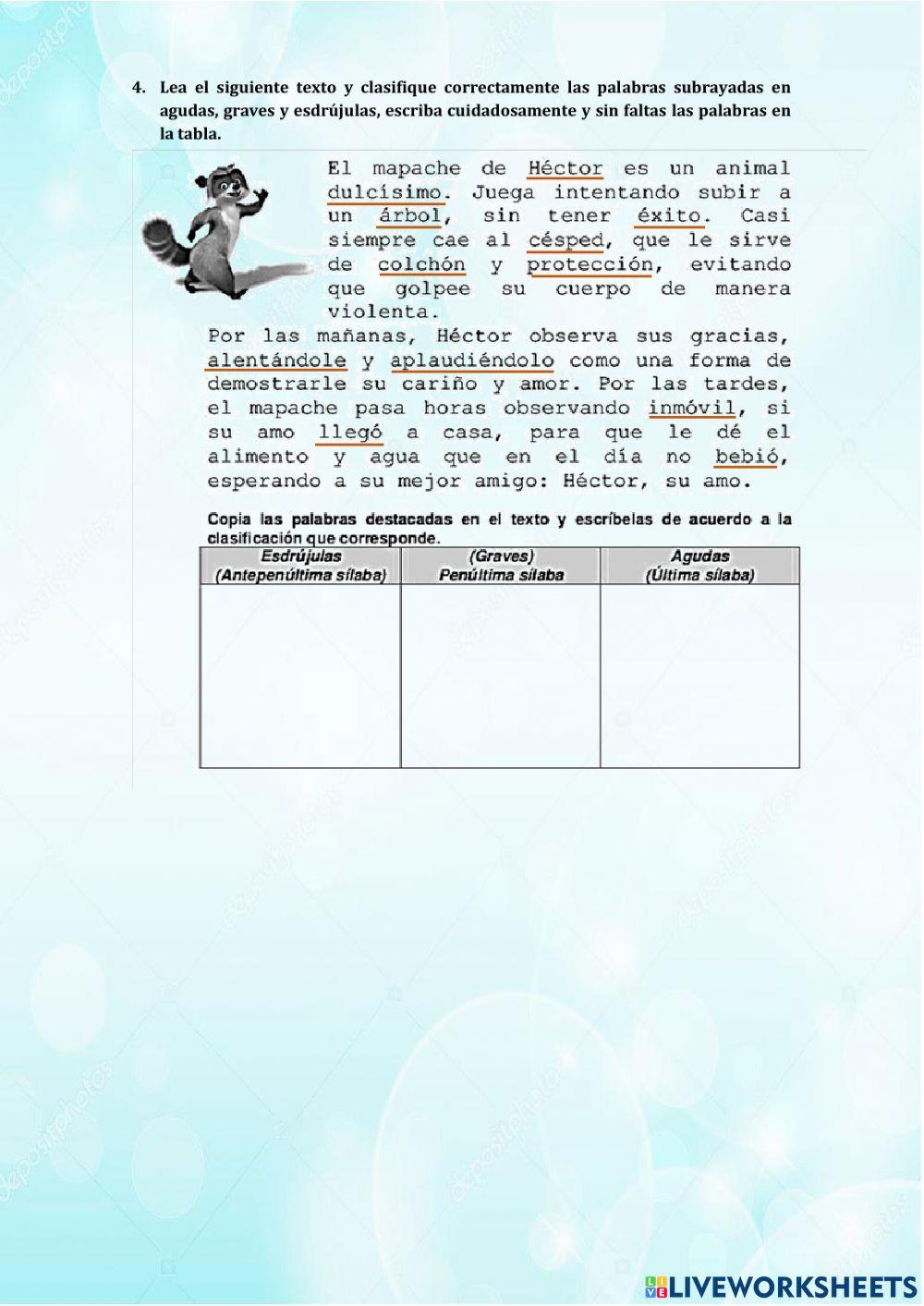 Evaluación de lengua y literatura Evaluación de lengua y literatura