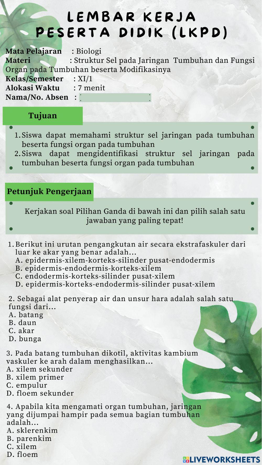 Struktur Sel pada Jaringan Tumbuhan dan Fungsi Organ pada Tumbuhan beserta Modifikasinya