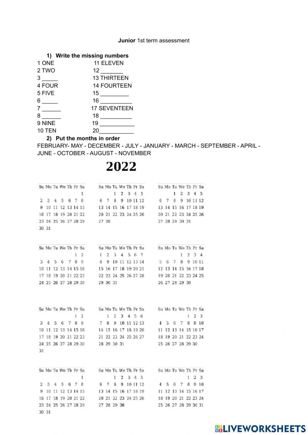 Junior 1st term assessment