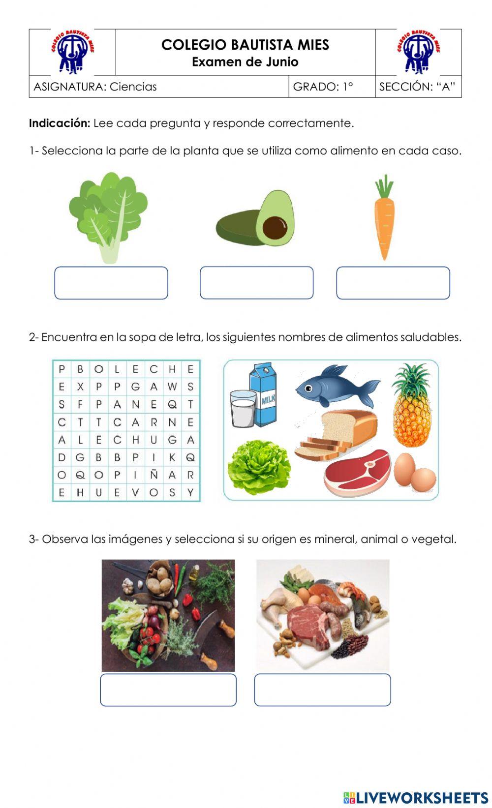Alimentos