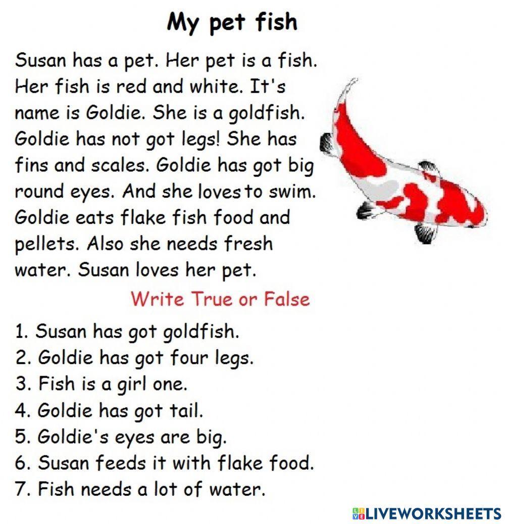 My Pet Fish Worksheet Live Worksheets my-pet-fish-worksheet-live-worksheets