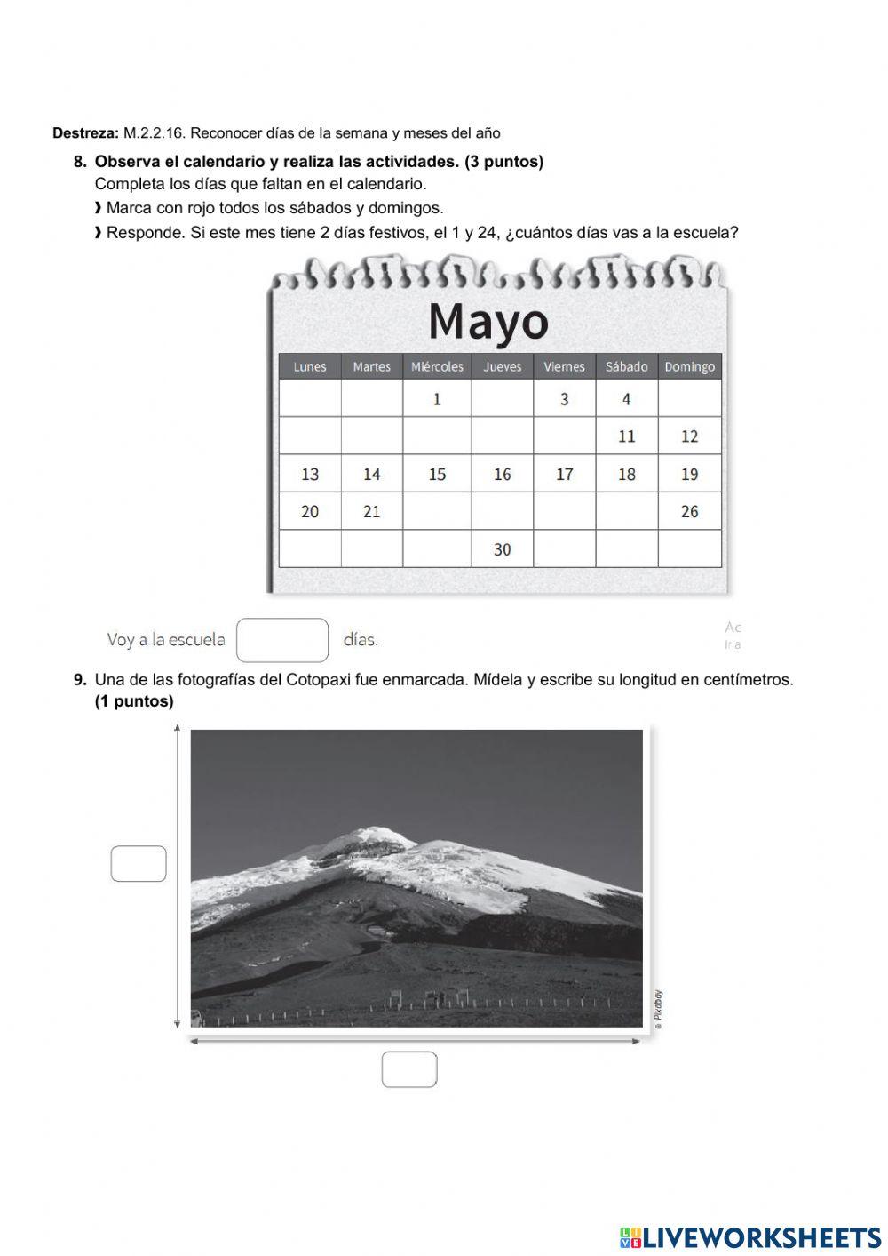 Examen quimestral del matematica