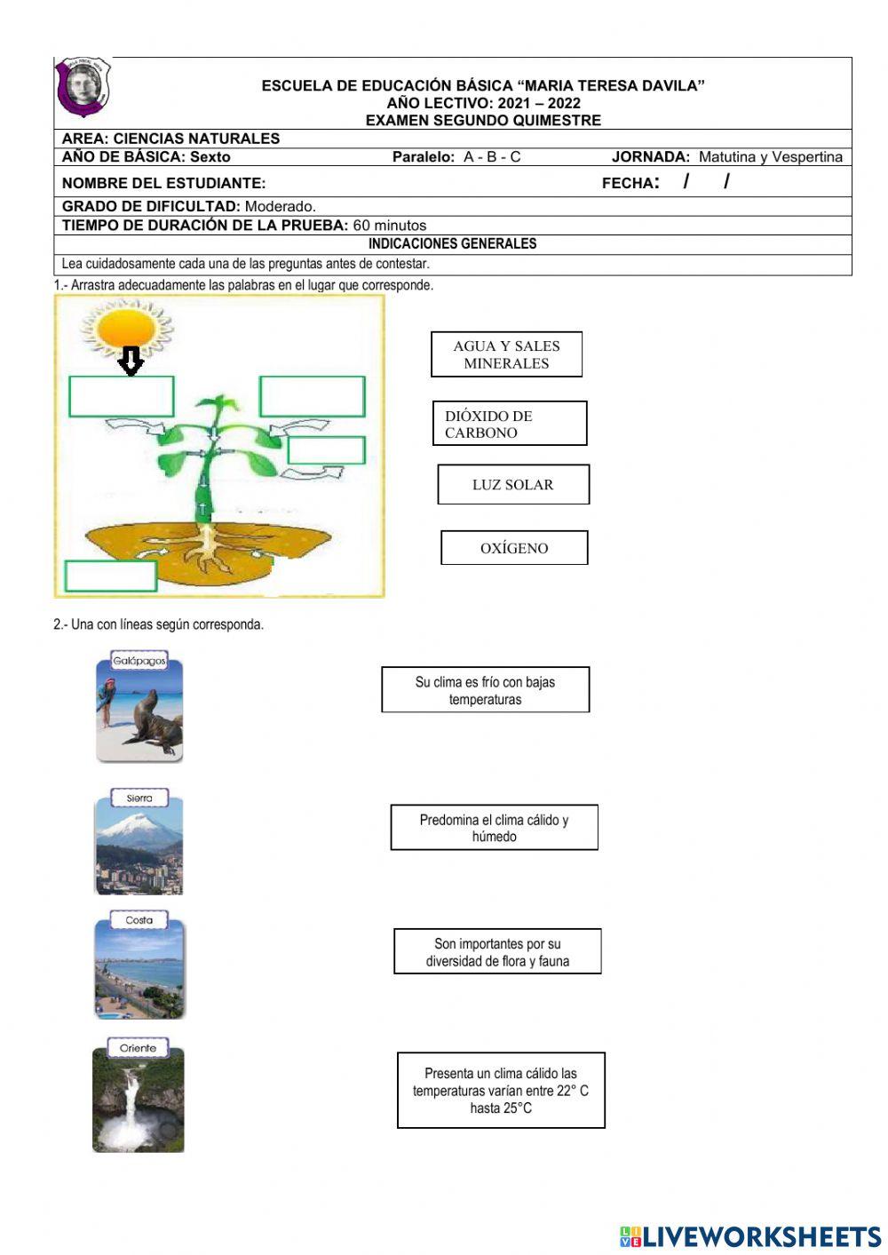 Evaluación ciencias naturales
