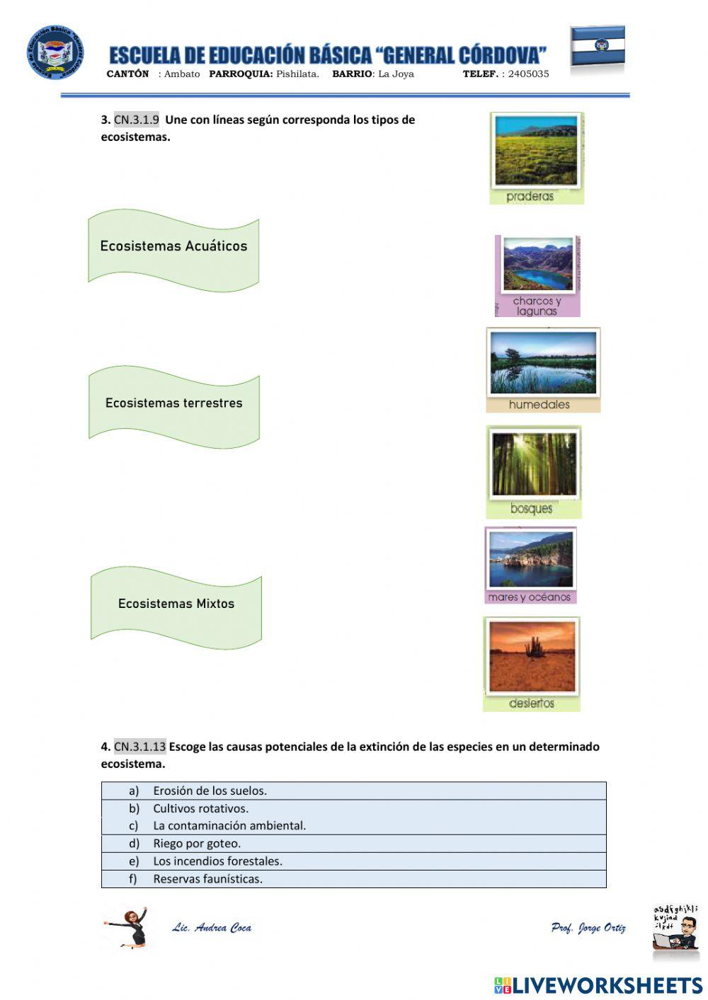 Evaluación segundo quimestre Ciencias Naturales