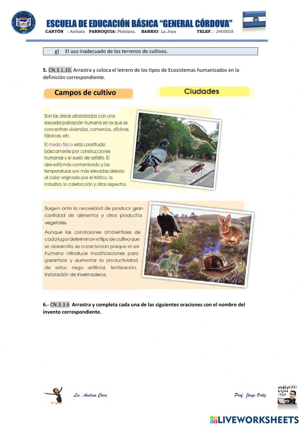 Evaluación segundo quimestre Ciencias Naturales