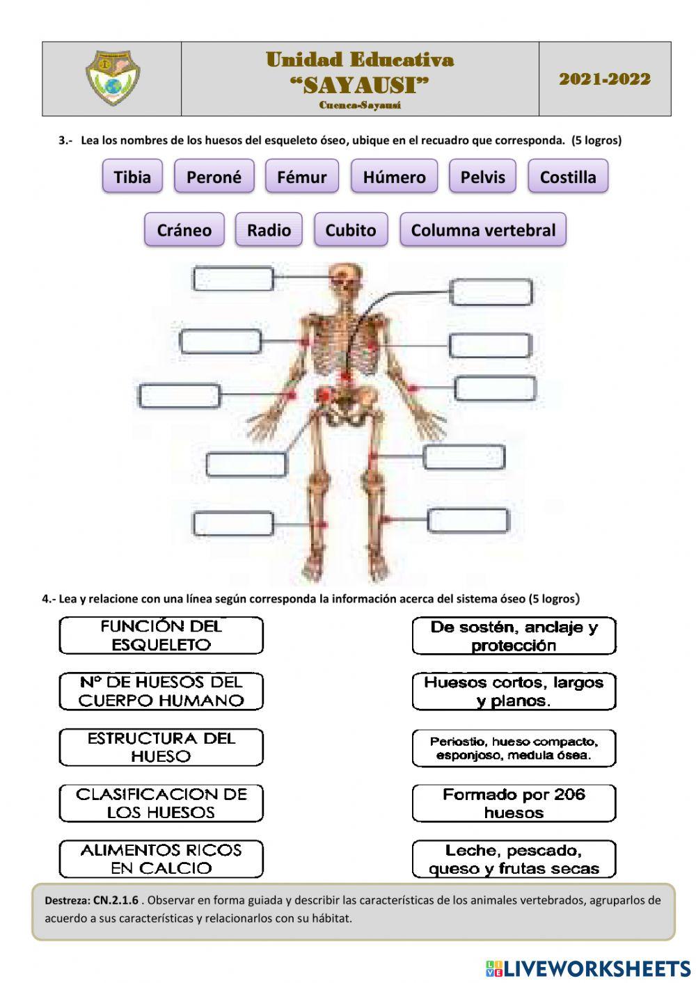 Examen quimestral de ciencias naturales