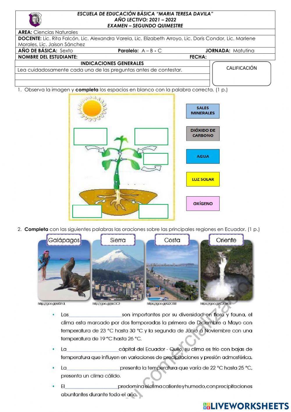 Examen - segundo quimestre