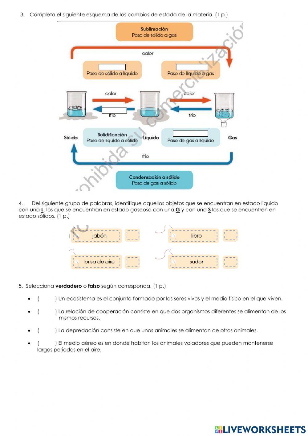 Examen - segundo quimestre